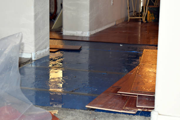 Professional Water Damage Restoration technician working in Ashfield, MA